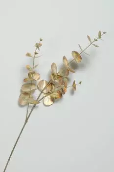 Декоративная ветка Эвкалипт COINCASA