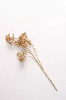 Декоративная ветка Triumph Nord