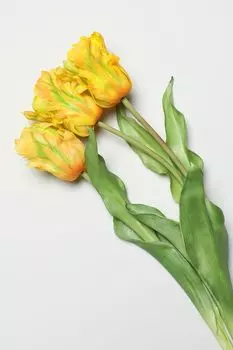 Декоративный букет Tulipano EDG