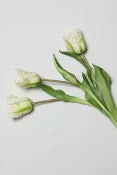 Декоративный букет EDG