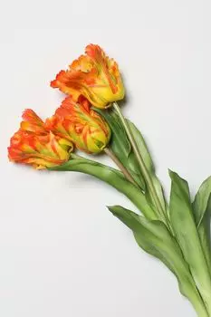 Декоративный букет EDG