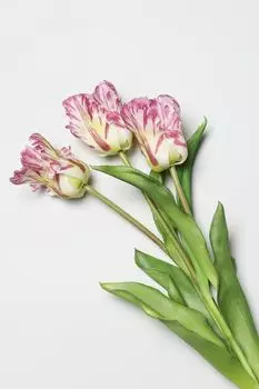 Декоративный букет EDG