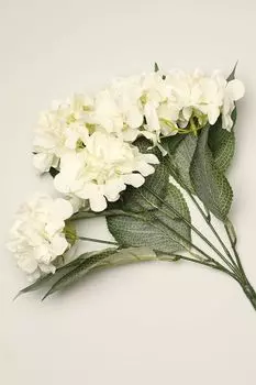 Декоративный букет Ortensia EDG