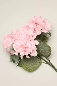 Декоративный букет Ortensia EDG