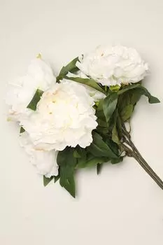 Декоративный букет Peonia EDG