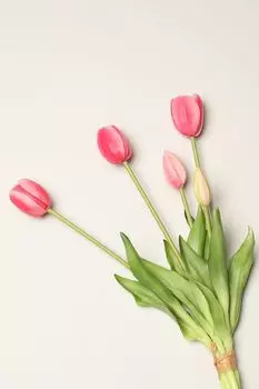 Декоративный букет Tulipano EDG