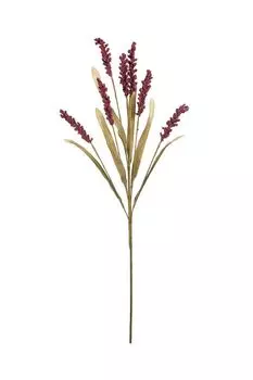 Декоративный цветок Барбарис летний Вещицы