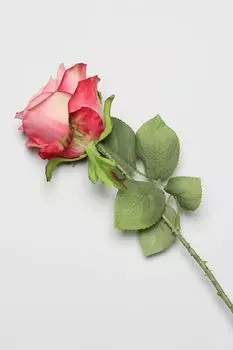 Декоративный цветок Rosa в ассортименте EDG