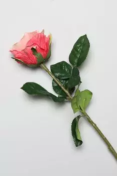 Декоративный цветок EDG