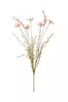 Декоративный цветок Кореопсис Вещицы