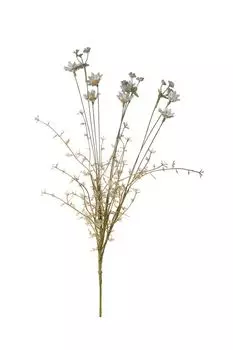 Декоративный цветок Первоцвет Вещицы