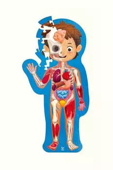 Детский пазл-игрушка Как устроено тело человека, из 60 элементов Hape