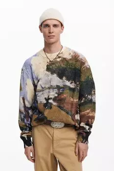 Джемпер хлопковый с принтом Desigual