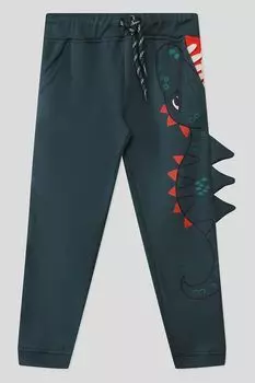 Джоггеры с принтом Динозавра DPAM