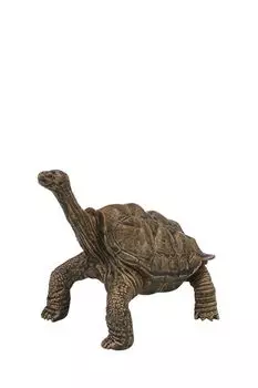 Фигурка рептилия Черепаха серии Мир диких животных Masai Mara