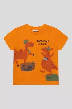 Футболка хлопковая с принтом Fagottino