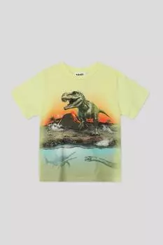 Футболка хлопковая с принтом Molo