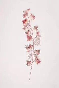 Гирлянда с виноградными листьями Triumph Nord