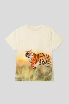 Хлопковая футболка с принтом Molo