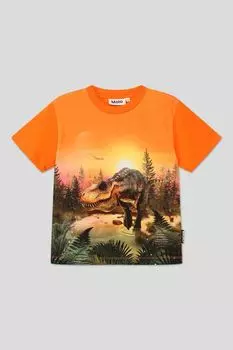 Хлопковая футболка с принтом Molo