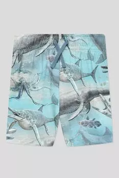 Хлопковые шорты с принтом Molo