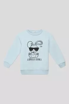 Хлопковый свитшот с принтом Choupette