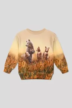 Хлопковый свитшот с принтом Molo