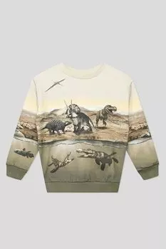 Хлопковый свитшот с принтом Molo