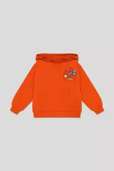 Худи хлопковое с принтом Fagottino