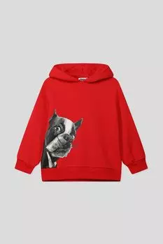 Худи хлопковое с принтом GIOCO