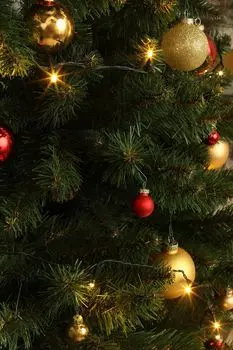 Электрогирлянда David Sirius