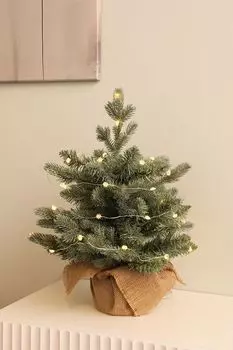 Электрогирлянда Flower Sirius