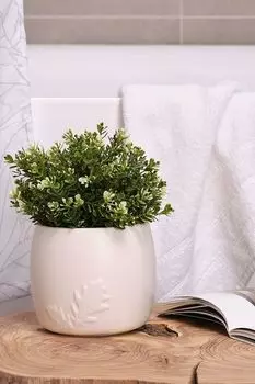 Кашпо для растений керамическое Shelest Moroshka