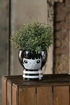 Кашпо керамическое Irony Moroshka