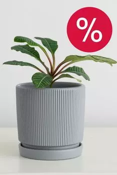 Кашпо керамическое с блюдцем Рельеф MANDARIN DECOR