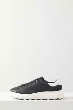 Кеды кожаные Geox