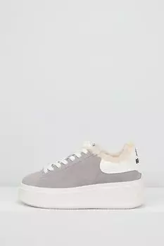 Кеды велюровые на меху Ash