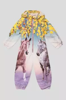 Комбинезон утепленный с капюшоном Molo