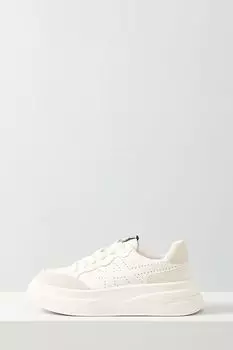 Кожаные кеды Ash