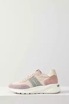 Кроссовки кожаные Nero Giardini