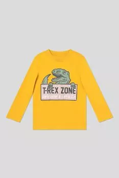 Лонгслив хлопковый с принтом OVS