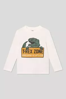 Лонгслив хлопковый с принтом OVS