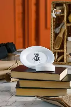 Мыльница керамическая Buzz Fauna Moroshka