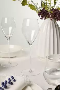 Набор из 2 хрустальных бокалов Veloce Riedel