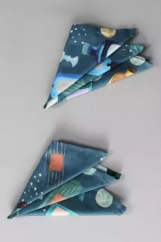 Набор из 2 кухонных салфеток Cin Cin COINCASA