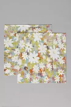 Набор из 2 кухонных салфеток Daisy COINCASA