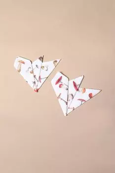 Набор из 2 кухонных салфеток с принтом Zucche COINCASA