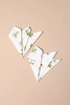 Набор из 2 кухонных салфеток с принтом Sottobosco Randi COINCASA