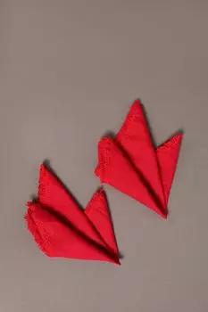 Набор из 2 льняных кухонных салфеток Frange Ciliegia COINCASA