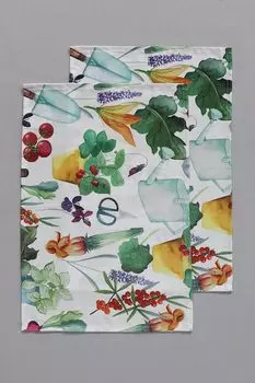 Набор из 2 настольных ковриков Veg Garden COINCASA